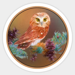 Northern Saw-whet Owl Sticker